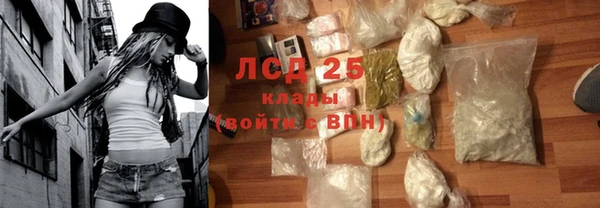 ПСИЛОЦИБИНОВЫЕ ГРИБЫ Осинники