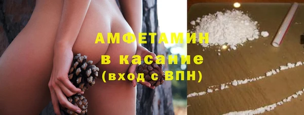 стафф Арсеньев