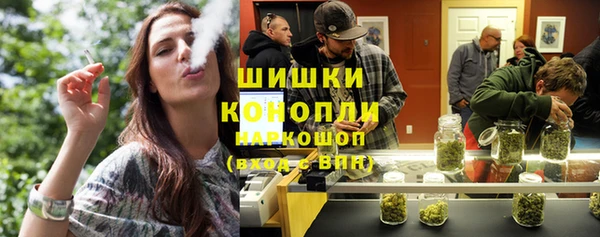 ПСИЛОЦИБИНОВЫЕ ГРИБЫ Осинники
