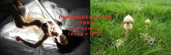 метадон Аркадак